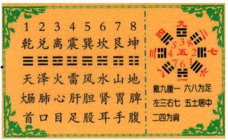 小八卦图片,探寻娱乐圈幕后故事