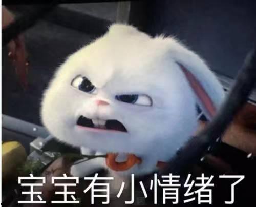 爱宠萌兔表情包